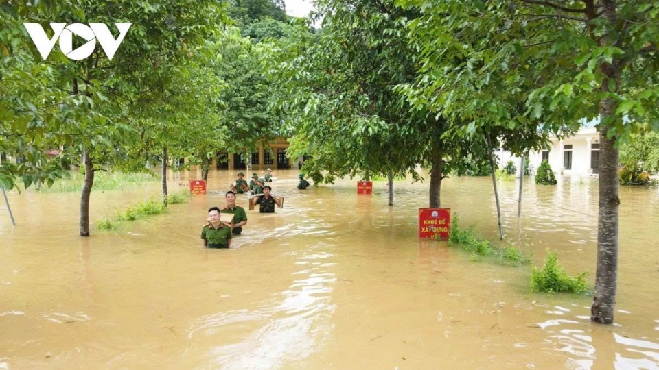 WHO supports Nghe An in post-flood disease prevention efforts